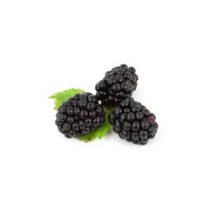 Brombeeren 125g x 8
