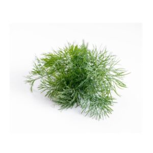 Dill 125gr