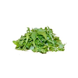 Rucola 1kg x 20 Beutel